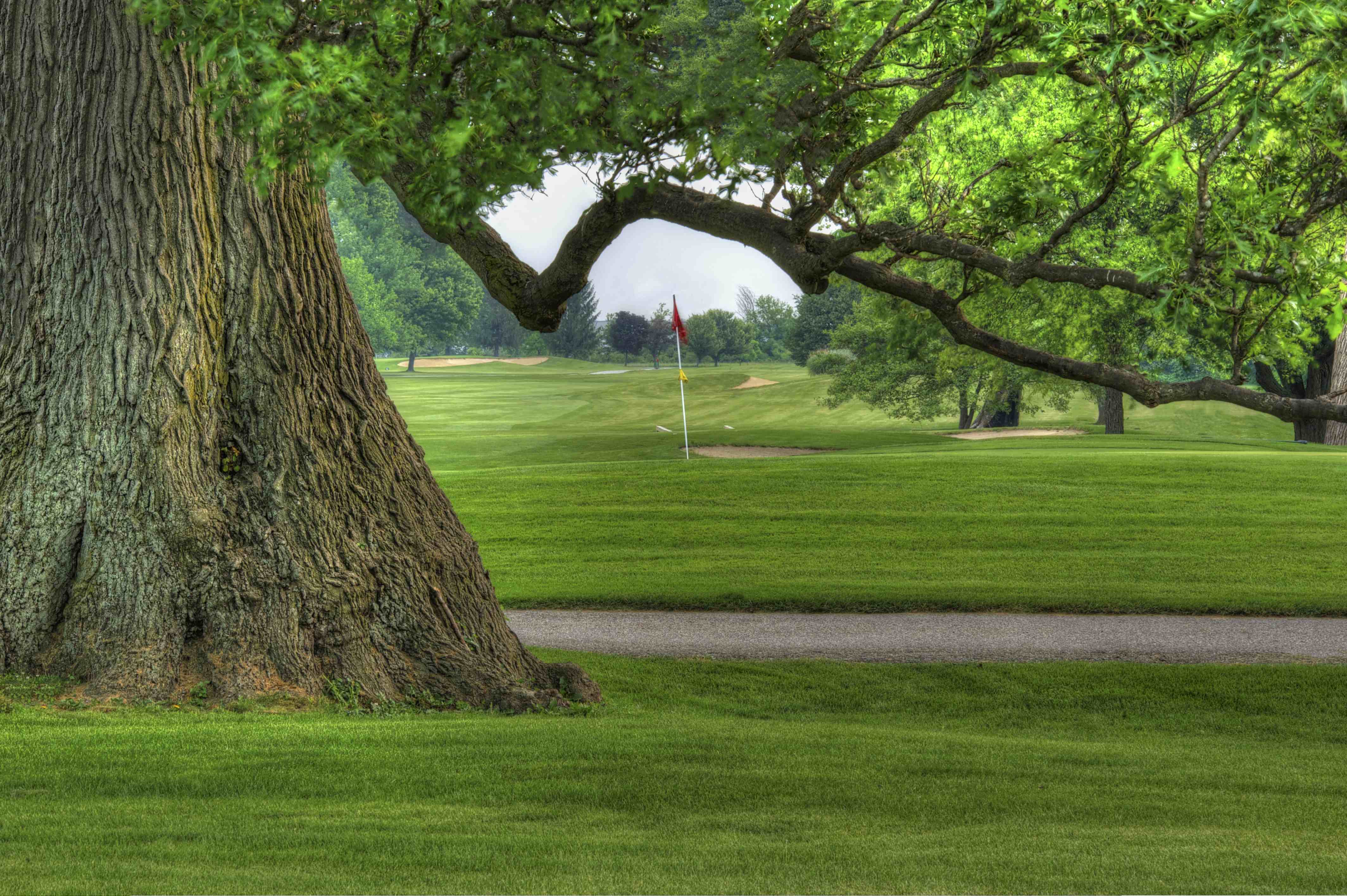 Gallery Golf Club of Indiana