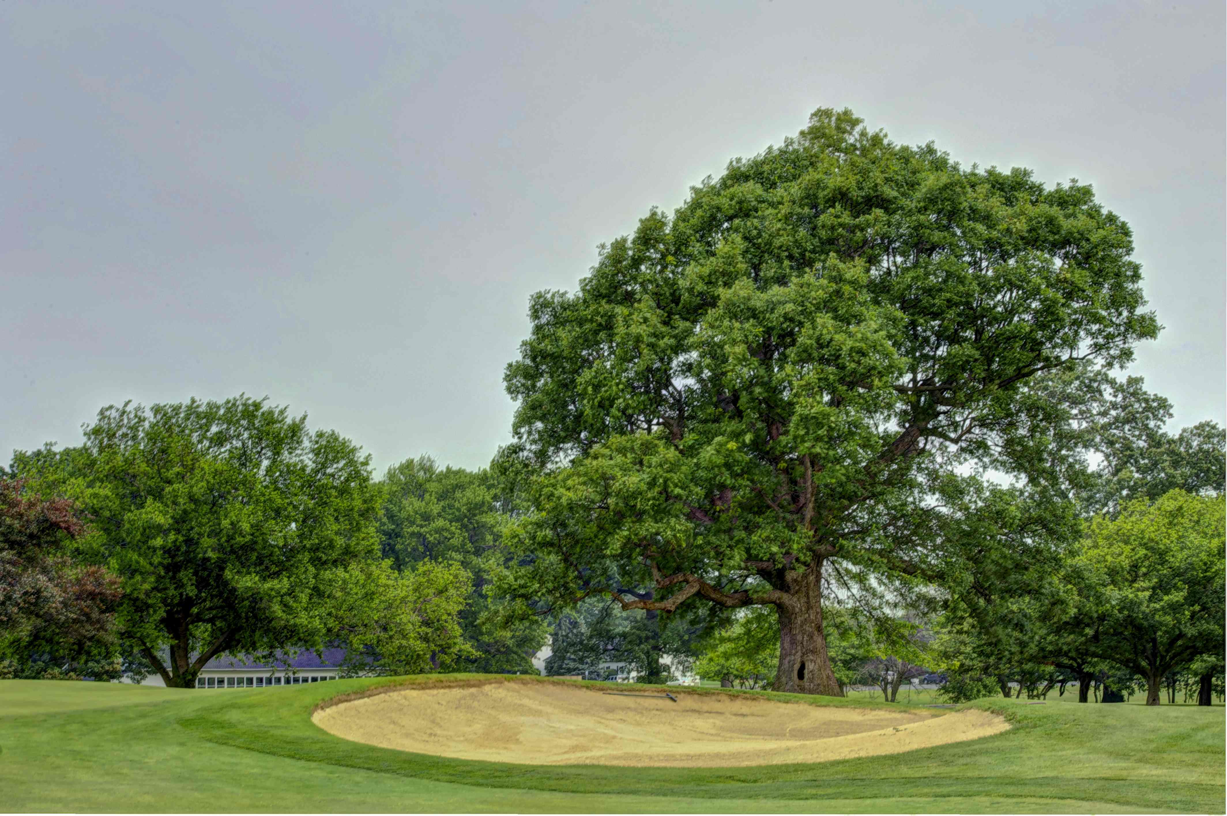 Gallery Golf Club of Indiana